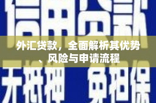 北区外汇贷款，全面解析其优势、风险与申请流程