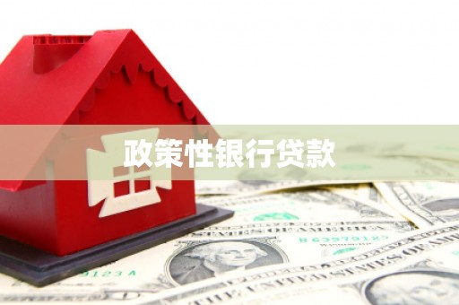 北区政策性银行贷款
