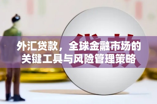 北区外汇贷款，全球金融市场的关键工具与风险管理策略