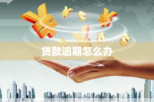 北区贷款逾期怎么办