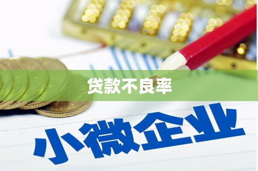 北区贷款不良率