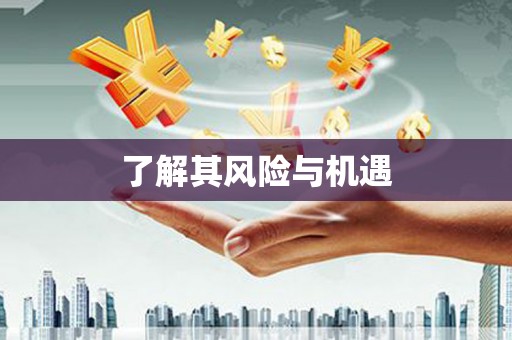 北区了解其风险与机遇