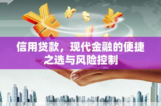北区信用贷款，现代金融的便捷之选与风险控制