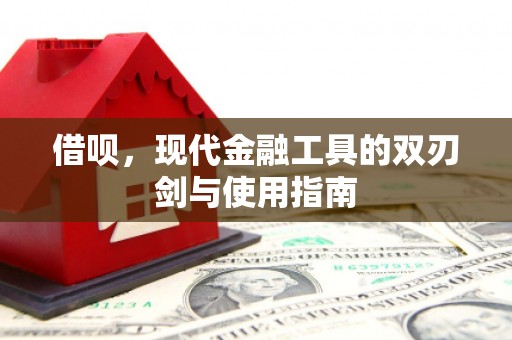 北区借呗，现代金融工具的双刃剑与使用指南