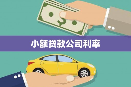 北区小额贷款公司利率
