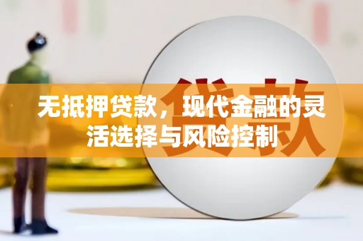 北区无抵押贷款，现代金融的灵活选择与风险控制