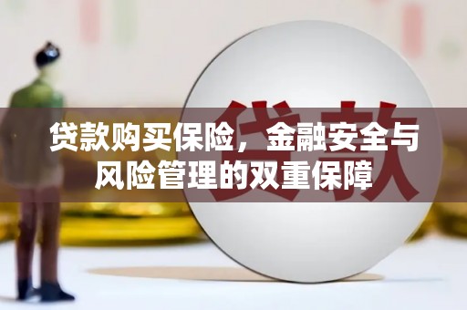 北区贷款购买保险，金融安全与风险管理的双重保障