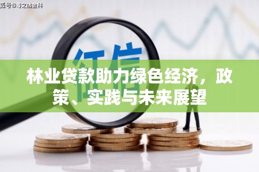 北区林业贷款助力绿色经济，政策、实践与未来展望