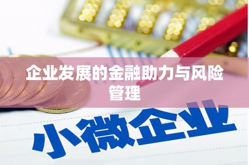 北区企业发展的金融助力与风险管理