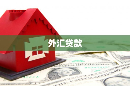 北区外汇贷款