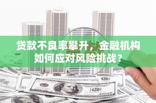 北区贷款不良率攀升，金融机构如何应对风险挑战？