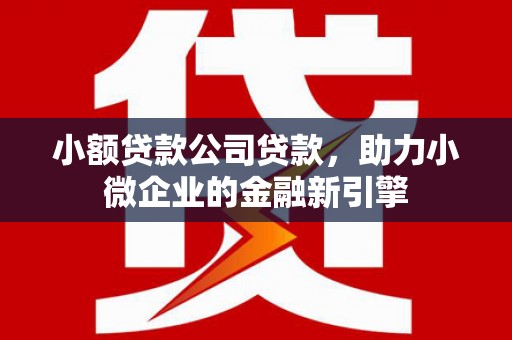 北区小额贷款公司贷款，助力小微企业的金融新引擎