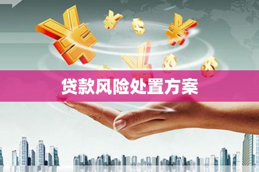 北区贷款风险处置方案