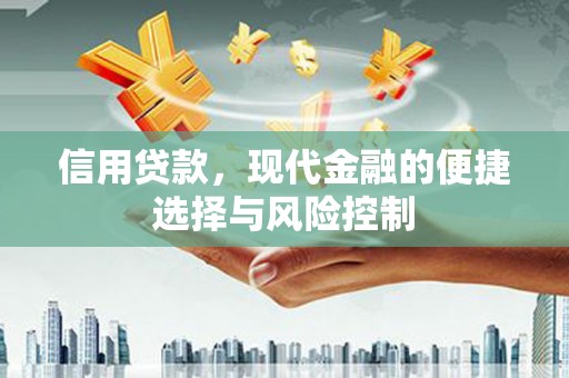 北区信用贷款，现代金融的便捷选择与风险控制