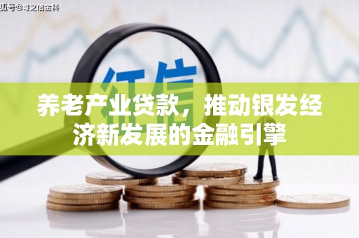 北区养老产业贷款，推动银发经济新发展的金融引擎