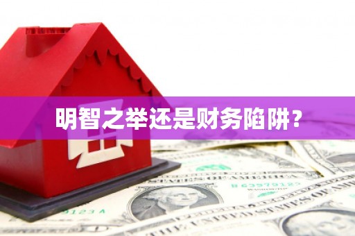 北区明智之举还是财务陷阱？