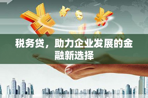 北区税务贷，助力企业发展的金融新选择