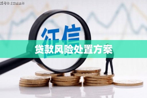 北区贷款风险处置方案