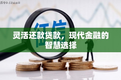 北区灵活还款贷款，现代金融的智慧选择
