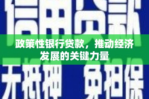 北区政策性银行贷款，推动经济发展的关键力量