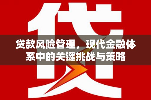 北区贷款风险管理，现代金融体系中的关键挑战与策略