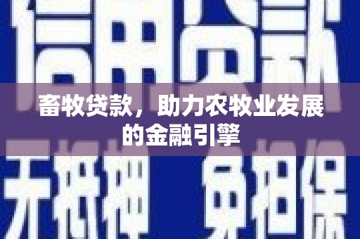 北区畜牧贷款，助力农牧业发展的金融引擎