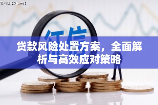 北区贷款风险处置方案，全面解析与高效应对策略