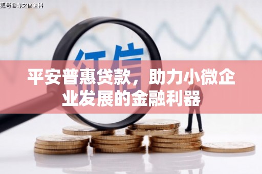北区平安普惠贷款，助力小微企业发展的金融利器