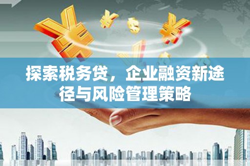 北区探索税务贷，企业融资新途径与风险管理策略