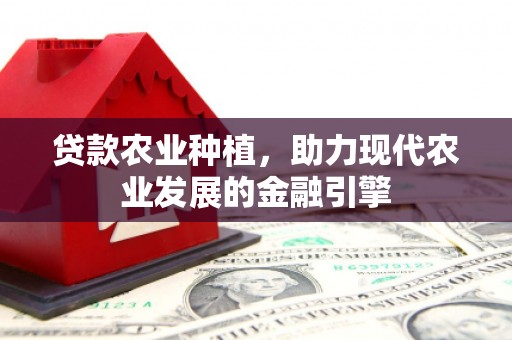 北区贷款农业种植，助力现代农业发展的金融引擎