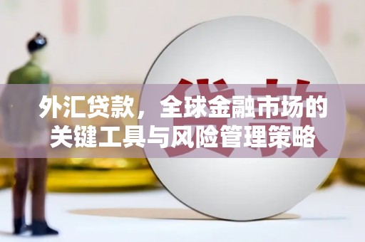 北区外汇贷款，全球金融市场的关键工具与风险管理策略