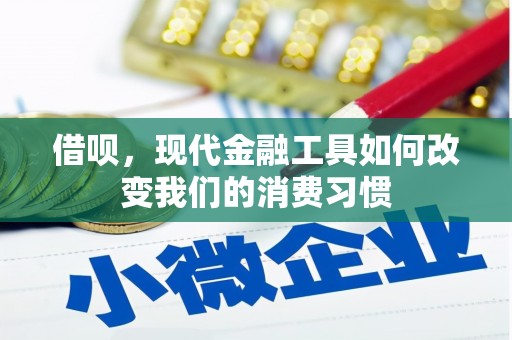 北区借呗，现代金融工具如何改变我们的消费习惯