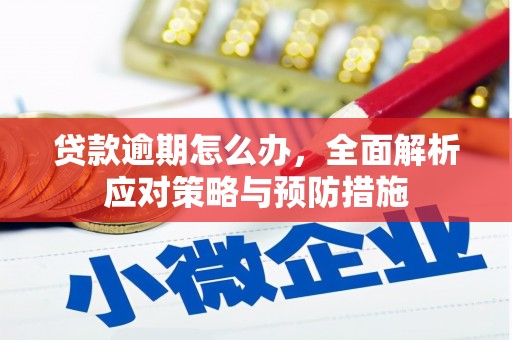 北区贷款逾期怎么办，全面解析应对策略与预防措施