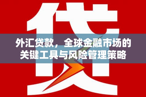 北区外汇贷款，全球金融市场的关键工具与风险管理策略