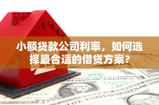 北区小额贷款公司利率，如何选择最合适的借贷方案？