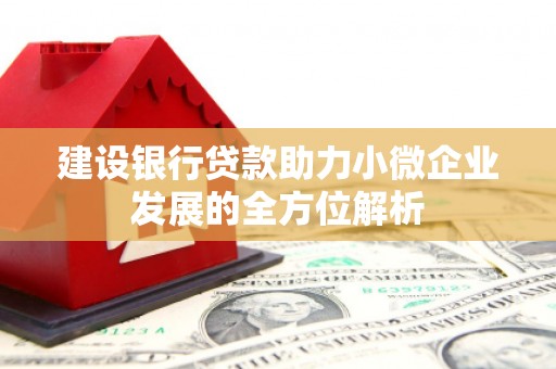 北区建设银行贷款助力小微企业发展的全方位解析