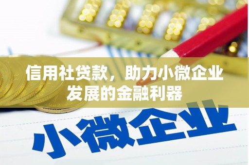 北区信用社贷款，助力小微企业发展的金融利器