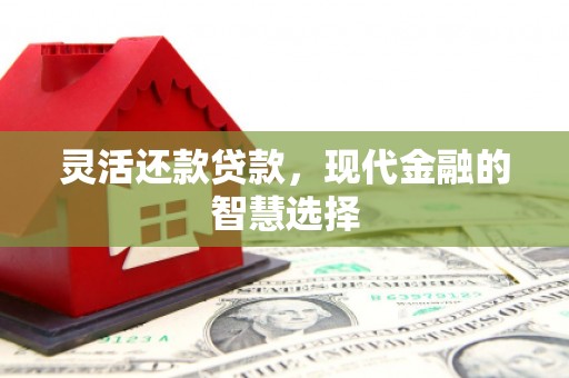 北区灵活还款贷款，现代金融的智慧选择