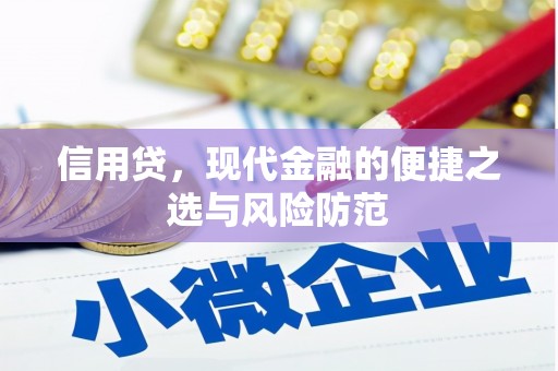 北区信用贷，现代金融的便捷之选与风险防范
