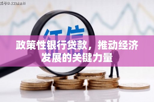 北区政策性银行贷款，推动经济发展的关键力量