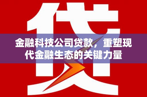 北区金融科技公司贷款，重塑现代金融生态的关键力量