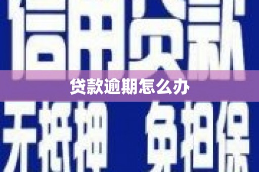 北区贷款逾期怎么办