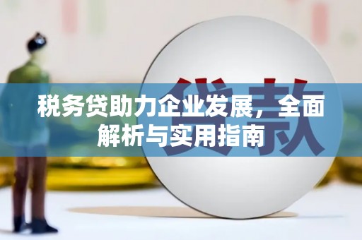 北区税务贷助力企业发展，全面解析与实用指南