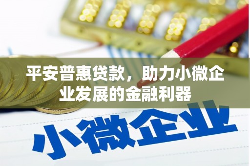 北区平安普惠贷款，助力小微企业发展的金融利器