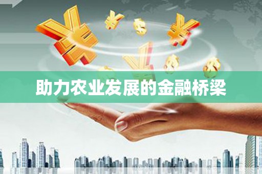北区助力农业发展的金融桥梁