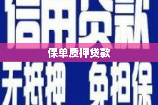 北区保单质押贷款